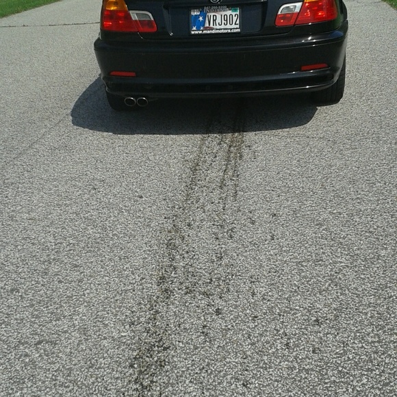 Meet your Posher, Joan - Picture 1 of 1